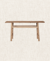 Elm Console