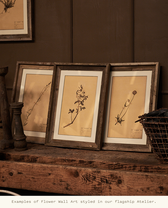 Les Fleurs du Temps - Assorted