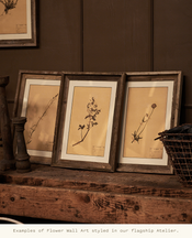 Les Fleurs du Temps - Assorted