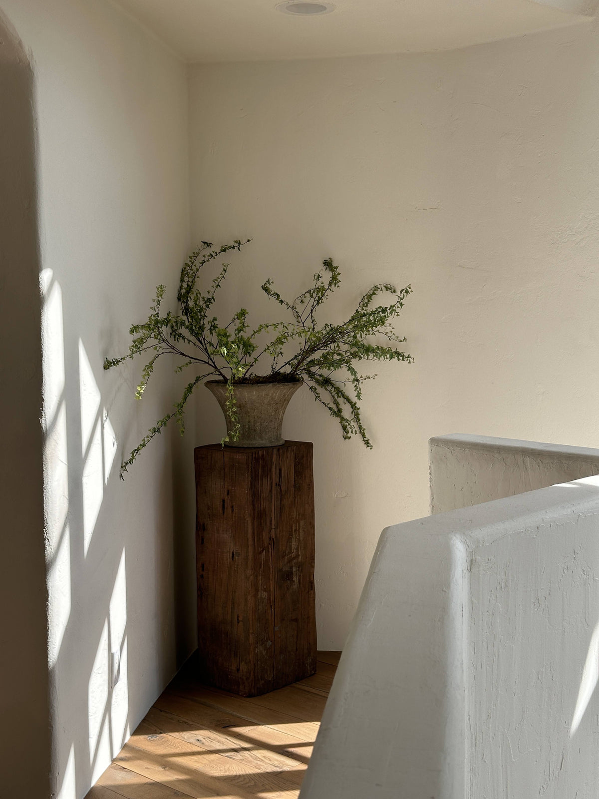 The Gerona Project