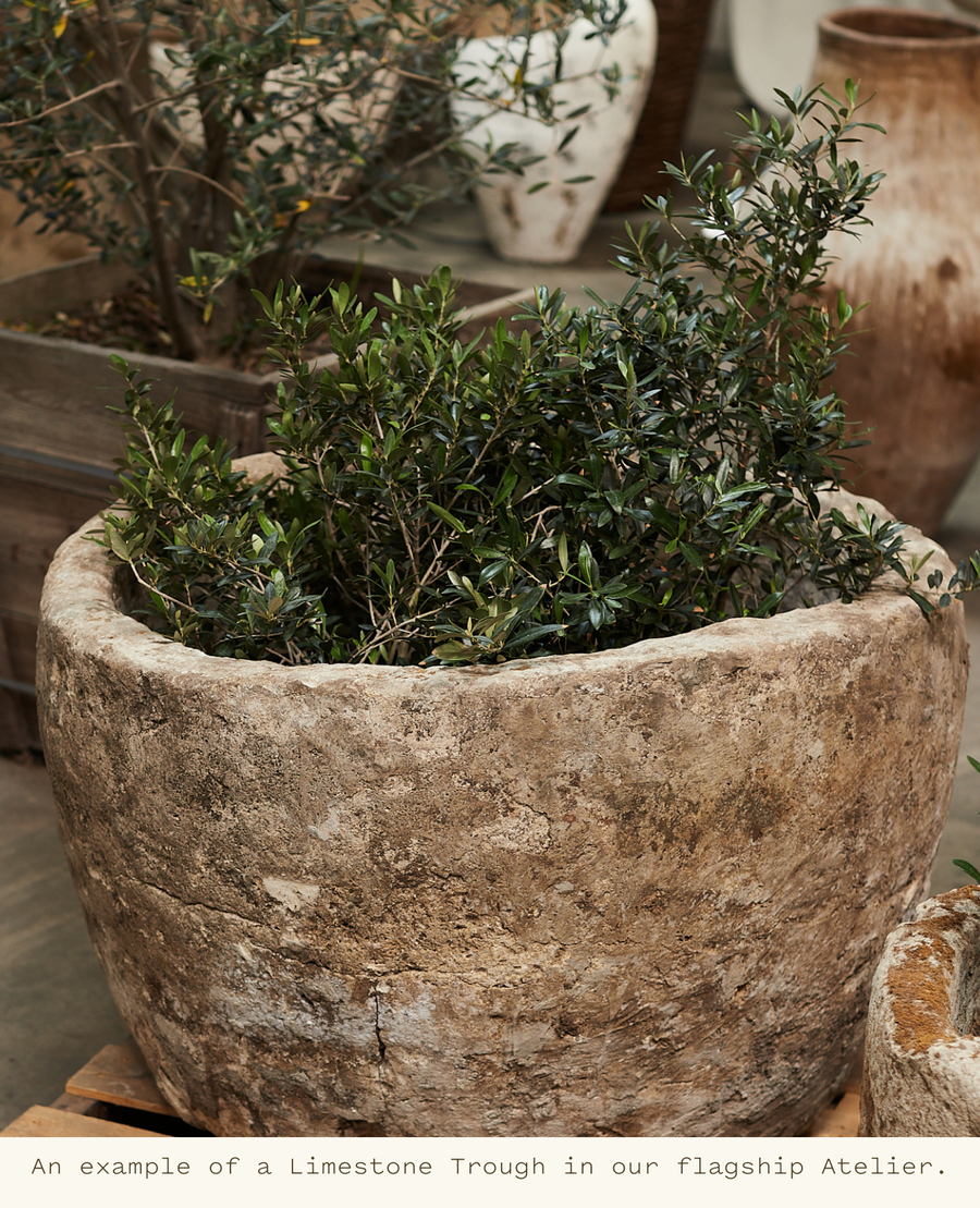 Reproduction Limestone Trough - Round from Indonesia - Planters, Fountains, & Water Features