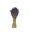 Lavender Bunch