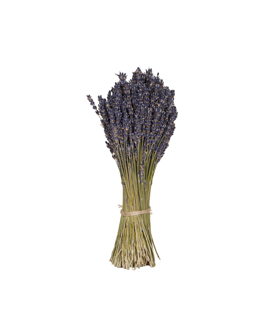 Lavender Bunch