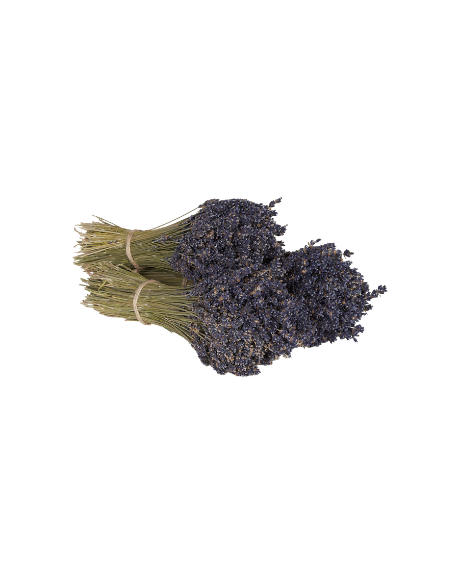 Lavender Bunch