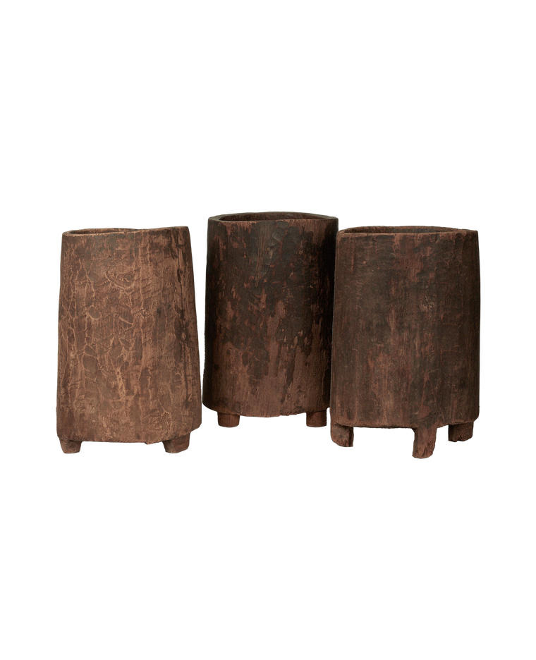 Nagaland Planter - Assorted