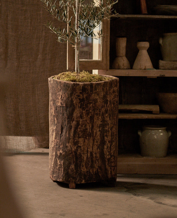 Nagaland Planter - Assorted