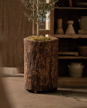 Nagaland Planter - Assorted