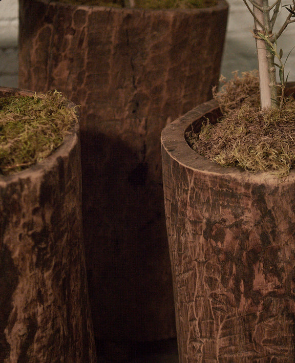 Nagaland Planter - Assorted