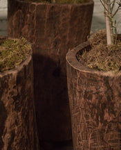 Nagaland Planter - Assorted