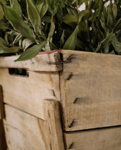 Champagne Crate