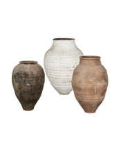 Olive Jar - Assorted