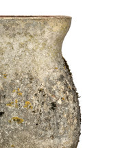 Terracotta Vase Planter