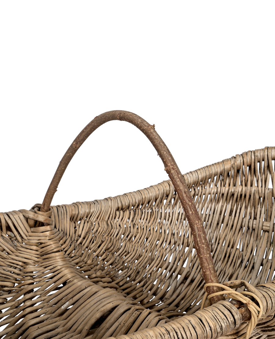 Grape Basket