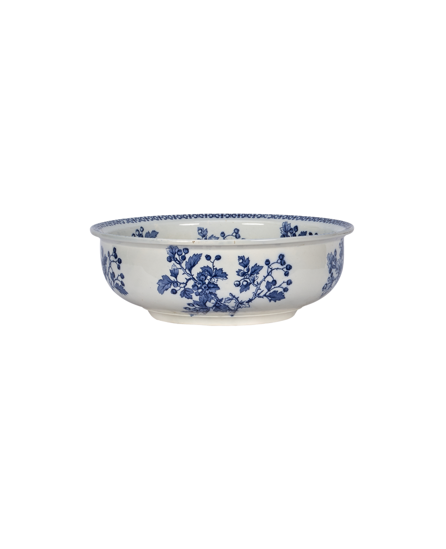 Blueberry Bowl