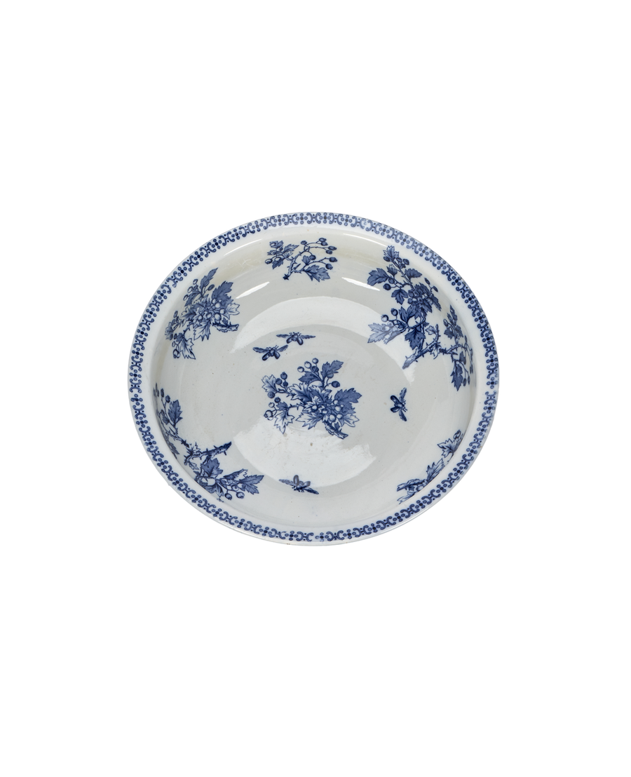 Blueberry Bowl