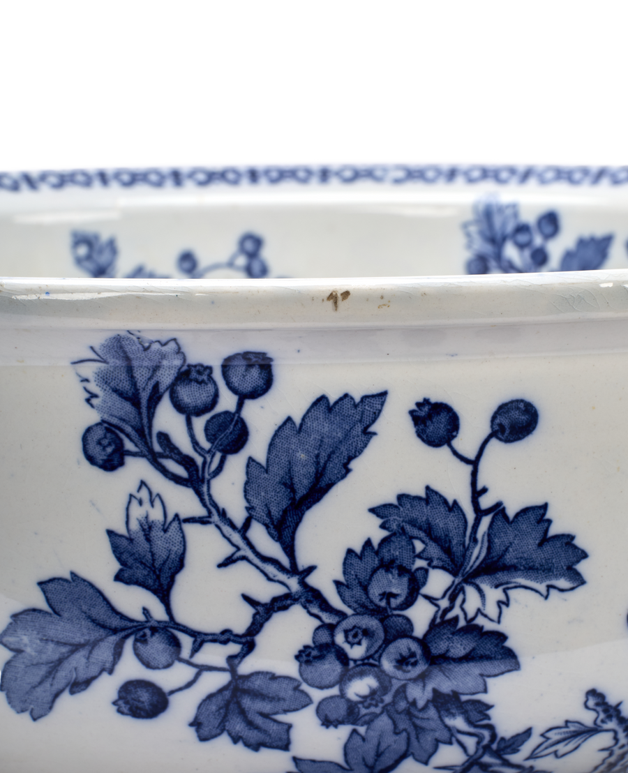Blueberry Bowl