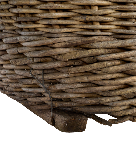 Champagne Grape Basket