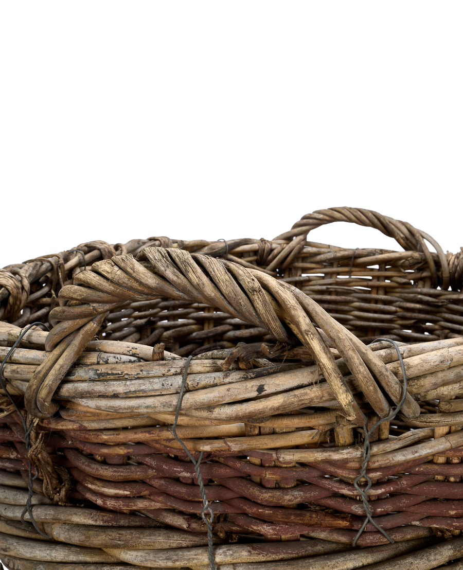Champagne Grape Basket