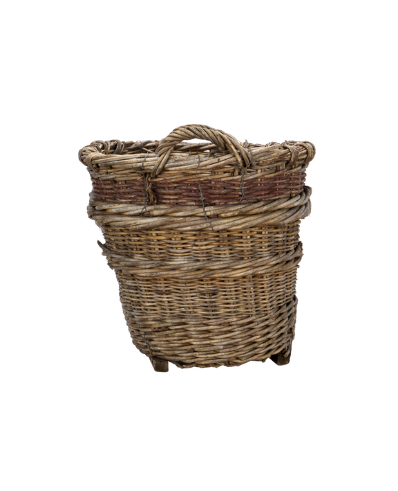 Champagne Grape Basket