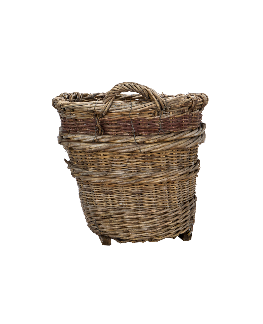 Champagne Grape Basket
