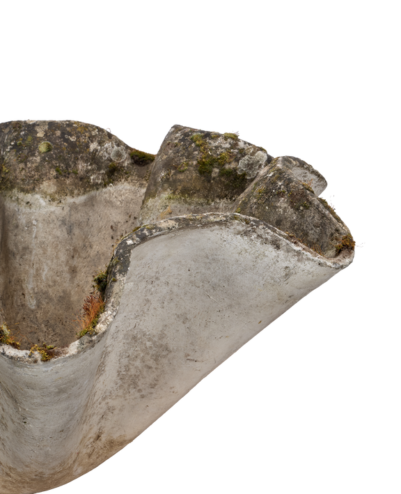 Willy Guhl Planter - Organic