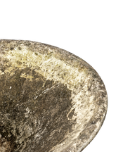 Willy Guhl Planter - Soucoupe