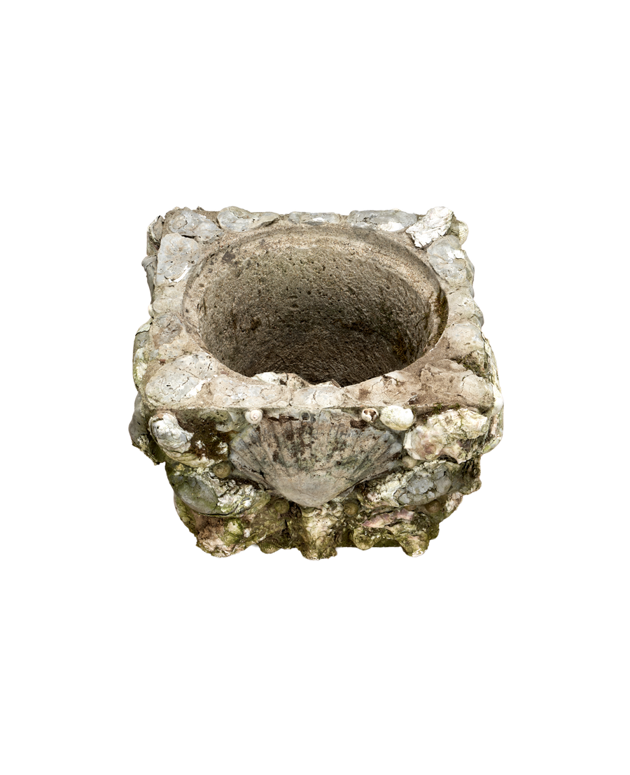 Shell Planters