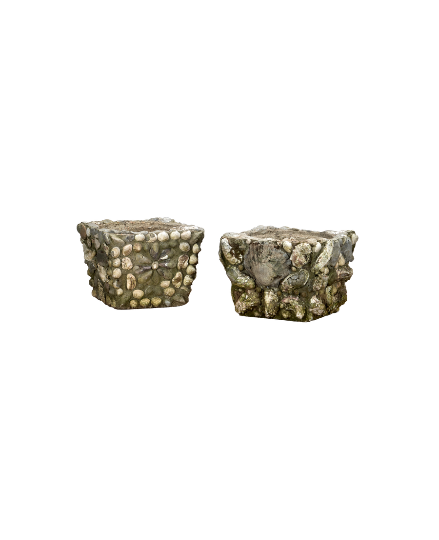 Shell Planters