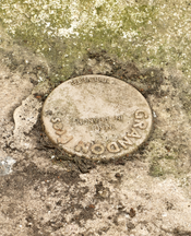 Concrete Coupe Planter