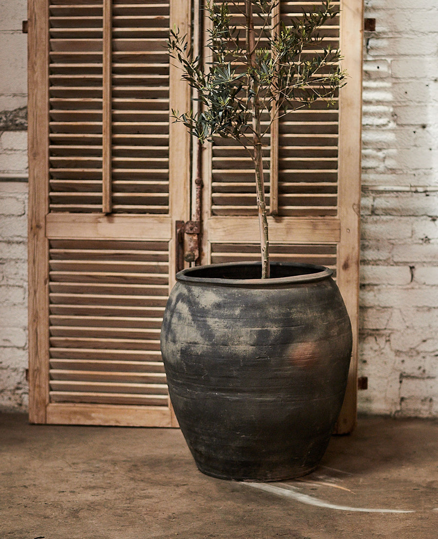 Vintage Water Planter from China made of Ceramic