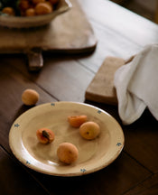 Vincent Plate